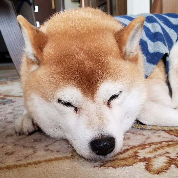 1c86648a e456 423b a058 d78b1b3dfbd4 1578367901987