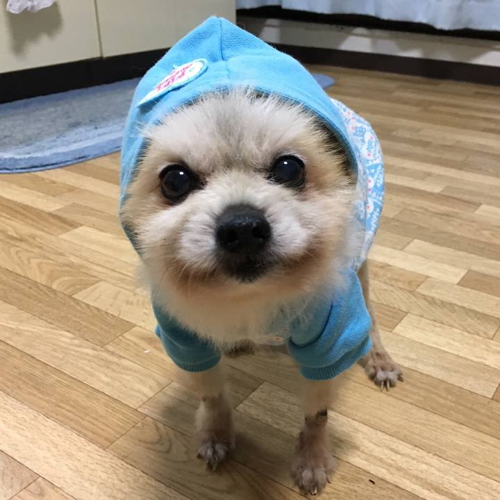 1c867ce3 6a4a 4001 8329 667a17e1bf9f 1533262556638