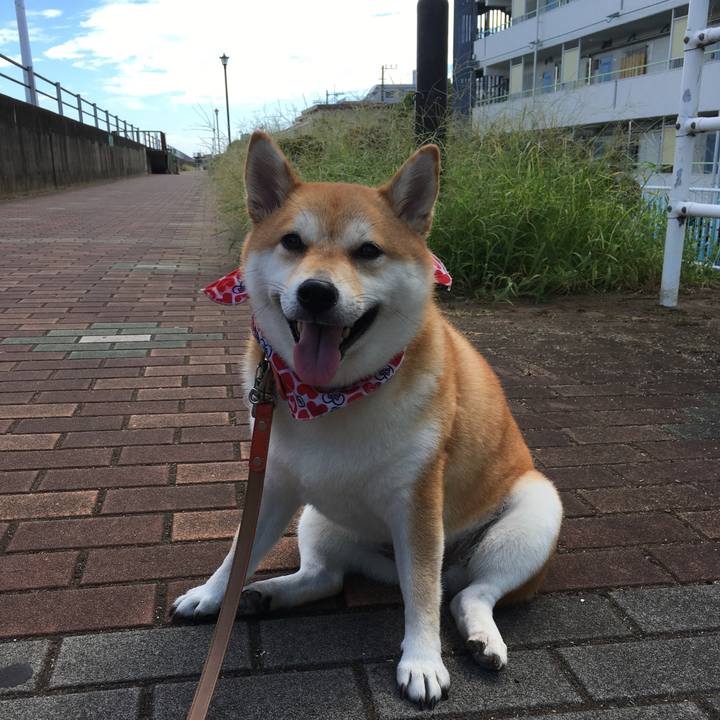 1c868147 5095 45ac 8b16 baba45a3915f 1536371582794