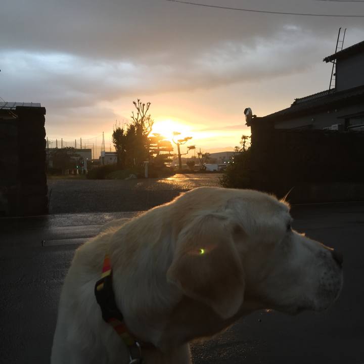 1c8688a9 7c7b 4b7c 9d55 00552493d231 1510698332079