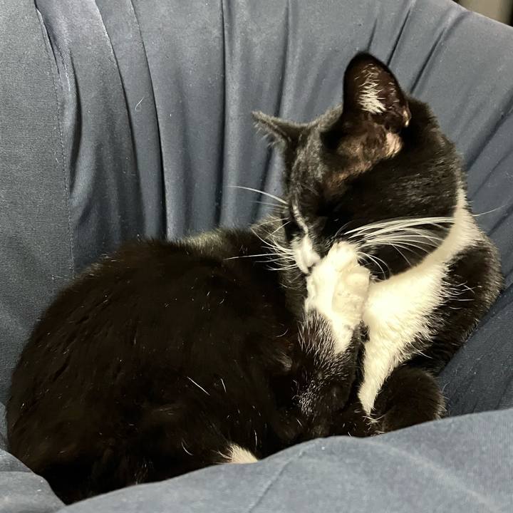 1c86ccb3 e01f 4bfe b638 b0ab10b54ded 1703216781797