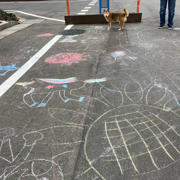 1c879343 a42b 45fe 99ba 56d0c2049892 1644721046921