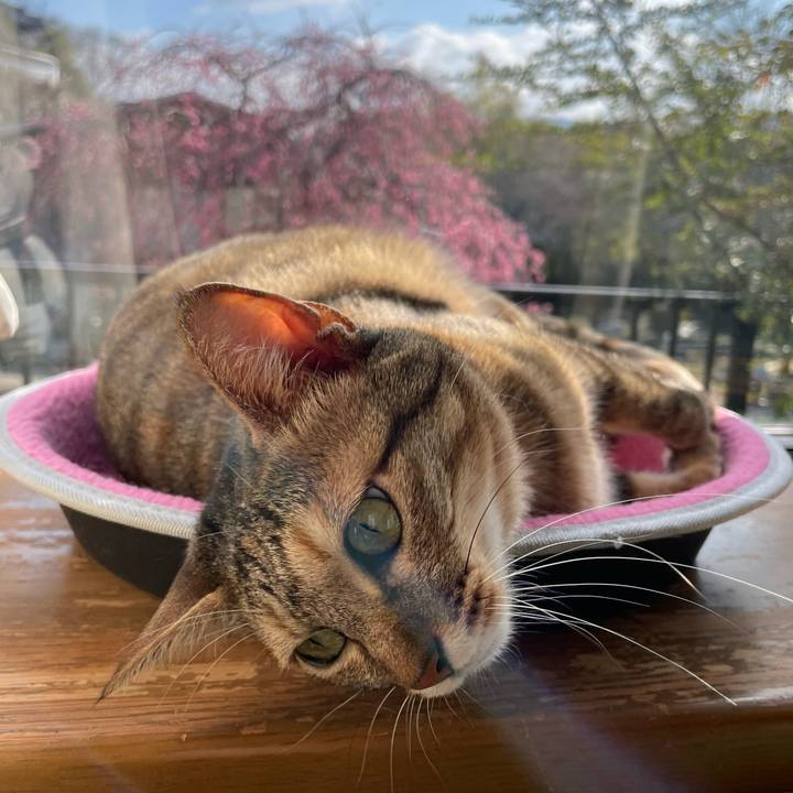 1c87b2d9 d657 430d b7ad 871136352ef2 1646267531746