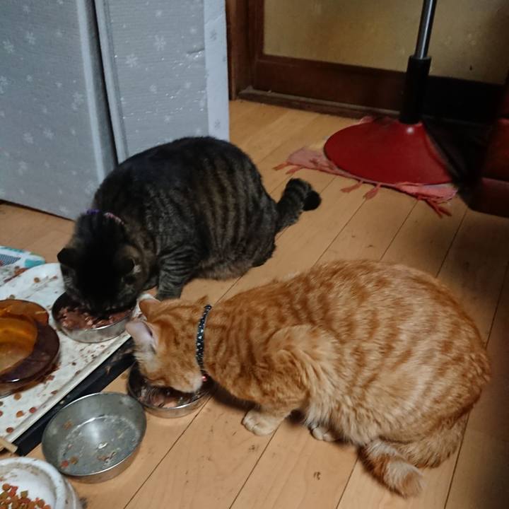 1c87cada 3016 4cda b95e d18bfdc77604 1648110278982