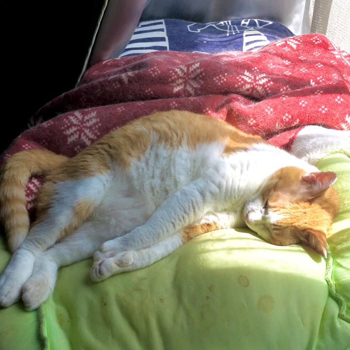 1c87d6ba f20c 4967 bc12 281a1b561e23 1597268223069