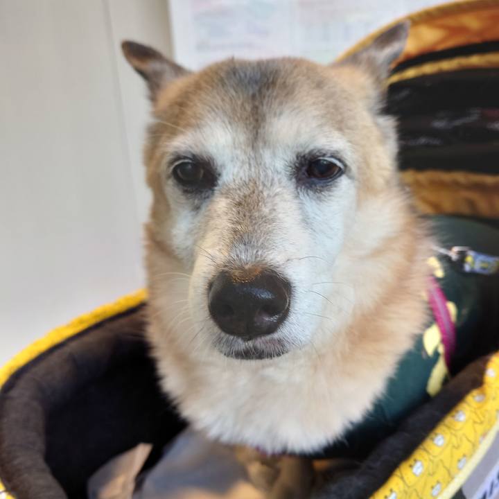 1c880950 bdd1 4244 aec0 d5d361039983 1722844537981