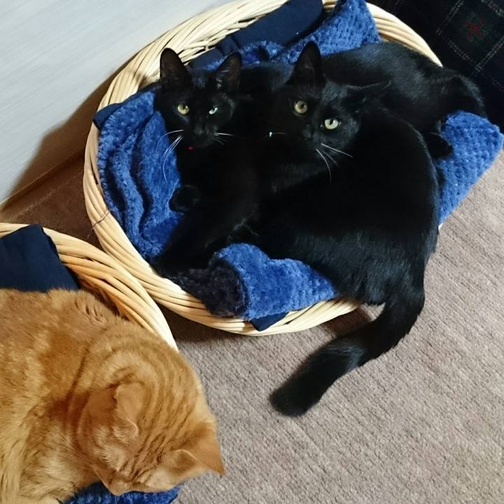 1c884776 2e28 4c76 a9b1 b3c2336940e0 1509065430520