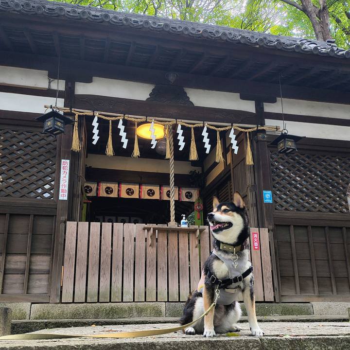 1c8852a1 dd89 4d0d ac8b 35078c196ac6 1758626073124