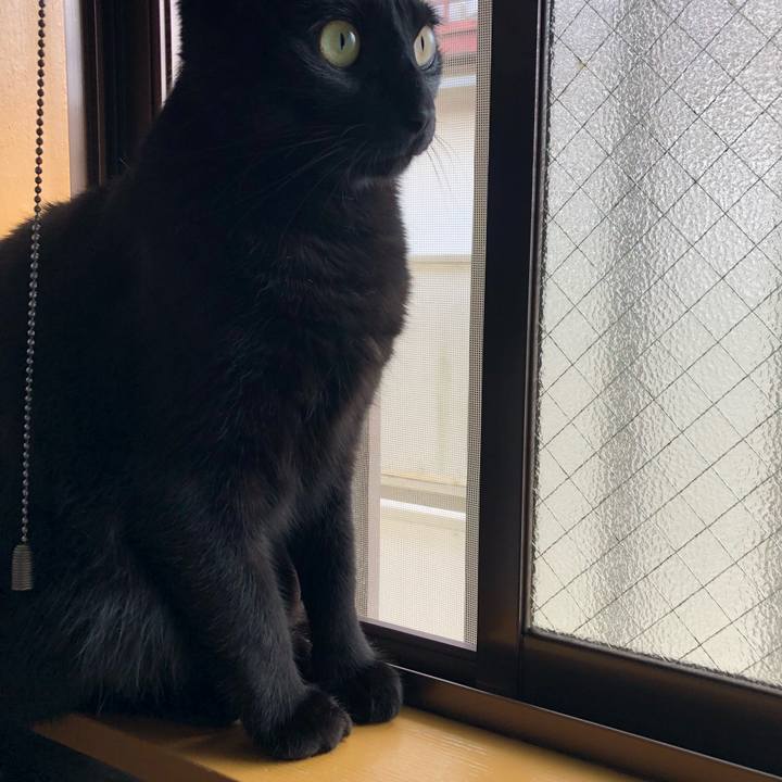 1c886ba1 b74d 4781 8059 c477c7d6b2dd 1560291974577