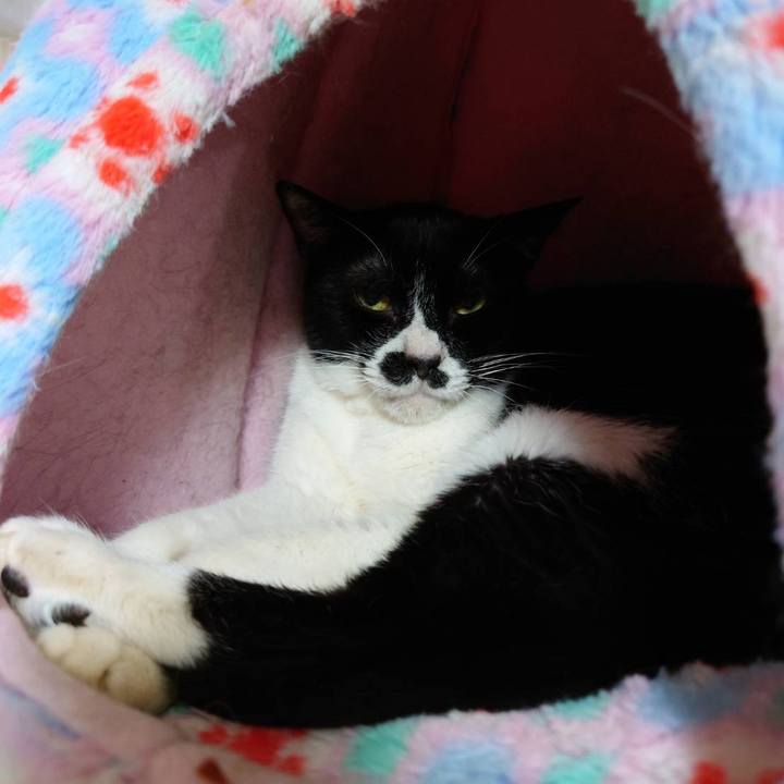 1c88e2cd 4d79 4065 8a9d 28ef22762fd9 1649412888084