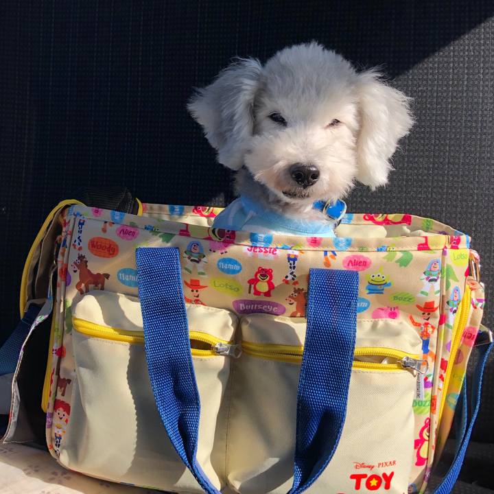 1c892d61 18d3 42f3 b43e 63b7bb2c138d 1633861611549