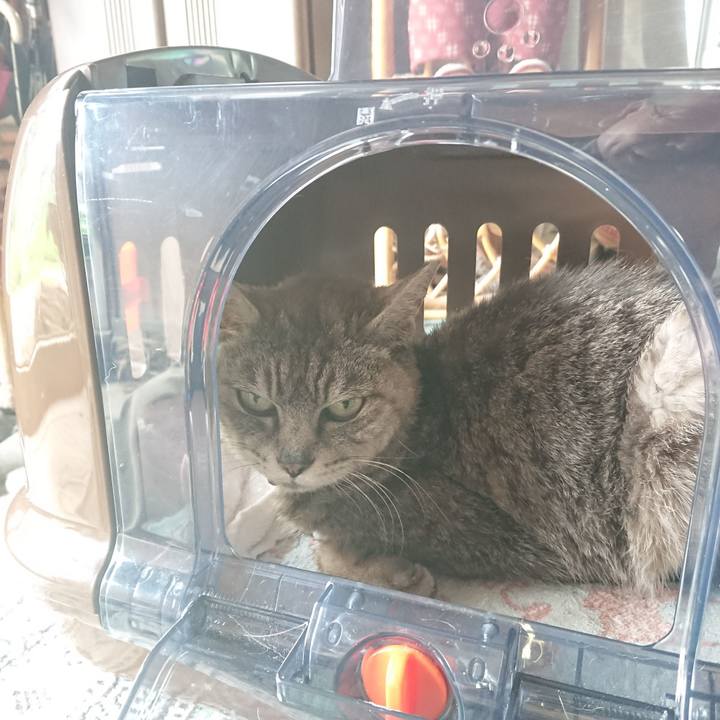 1c894de3 fccf 464a 9a1a 617c98098e27 1595470576109