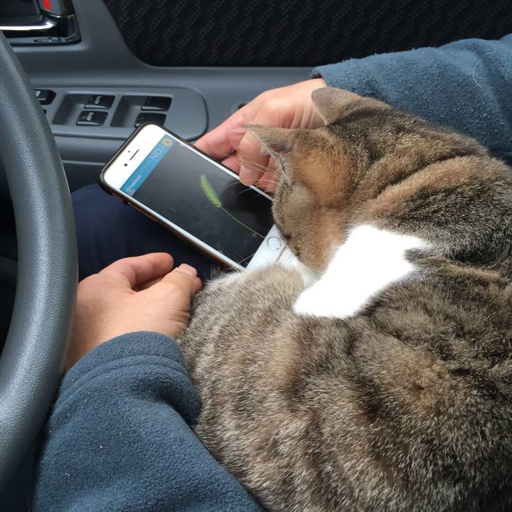 1c897d2b 9c3b 4351 8aec eeeb3d254d52 1515388601087