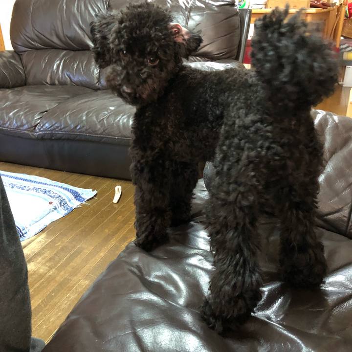 1c898435 b0c2 47d2 8cec 9ba1e8e244e8 1508425064024