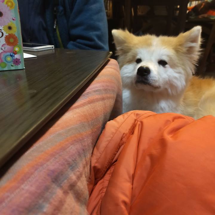 1c898c22 1693 48b5 8b4b e95c9e481039 1641303817421