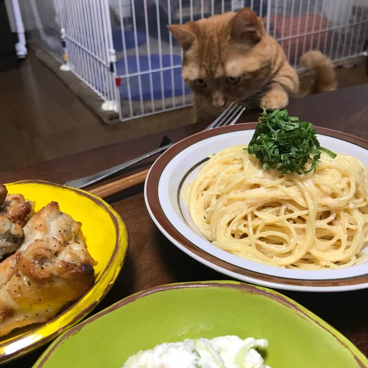 1c89a1e6 7ab0 4009 8409 8e400bc5b449 1533211051926