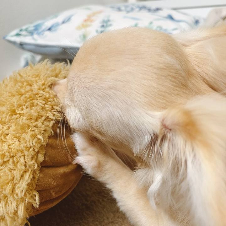 1c89b574 9ac9 4b20 88ea ad7b3127e0c2 1596178464846