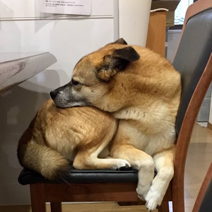 1c89dc6c 81d3 4654 aeb6 79a7ab1b389e 1521595583900