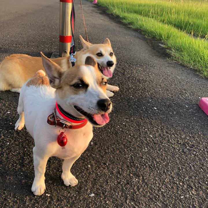 1c8a0f97 360f 4507 85e2 ddff89234cca 1568475474200