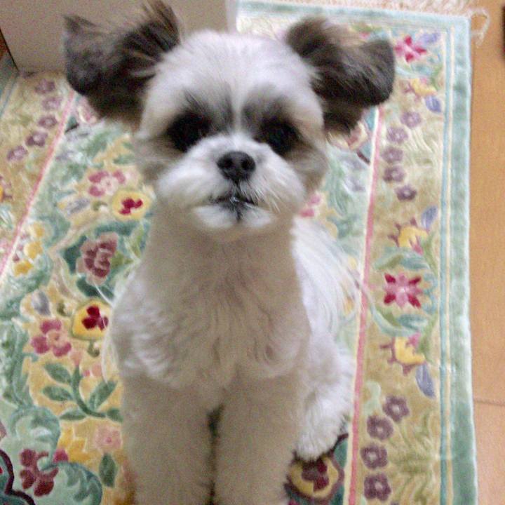 1c8a2705 e909 4f55 8524 4adfd5793608 1508618877012