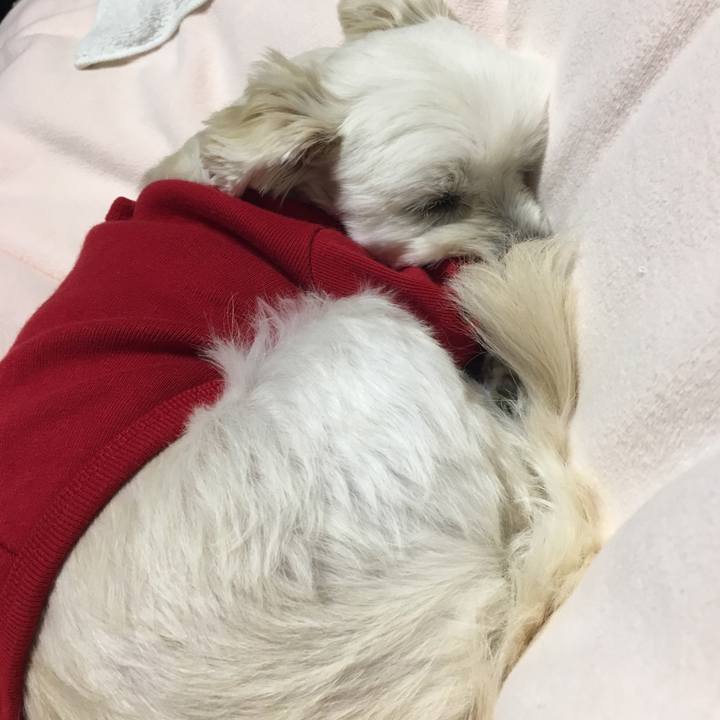 1c8a4be5 5e72 479e 9221 cf07ea5fc913 1512739501715