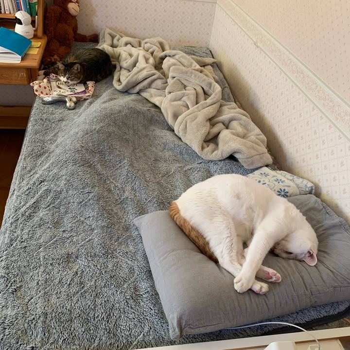 1c8a829e de0f 4baf 914f 2c4668e1f094 1636246589659