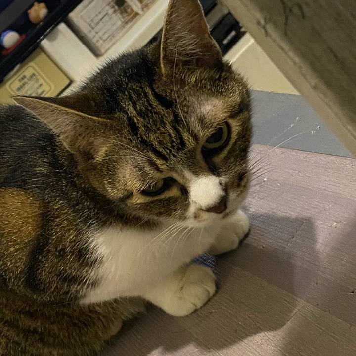 1c8acafe 87b1 4bad af58 4c1373f06c37 1658067551720