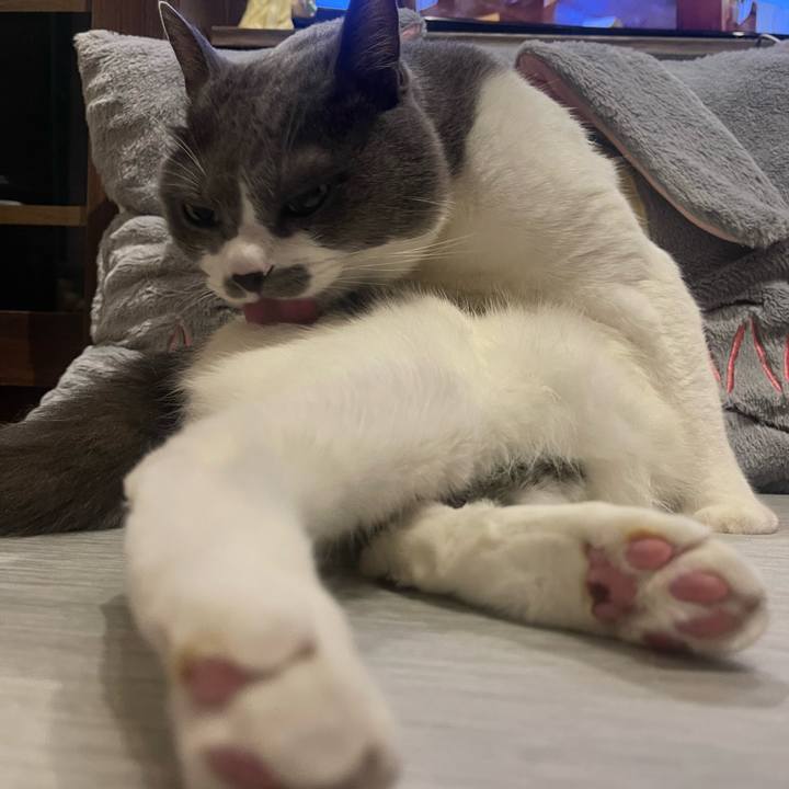 1c8b037d 2c31 465a b487 2089df0cd604 1753365202936