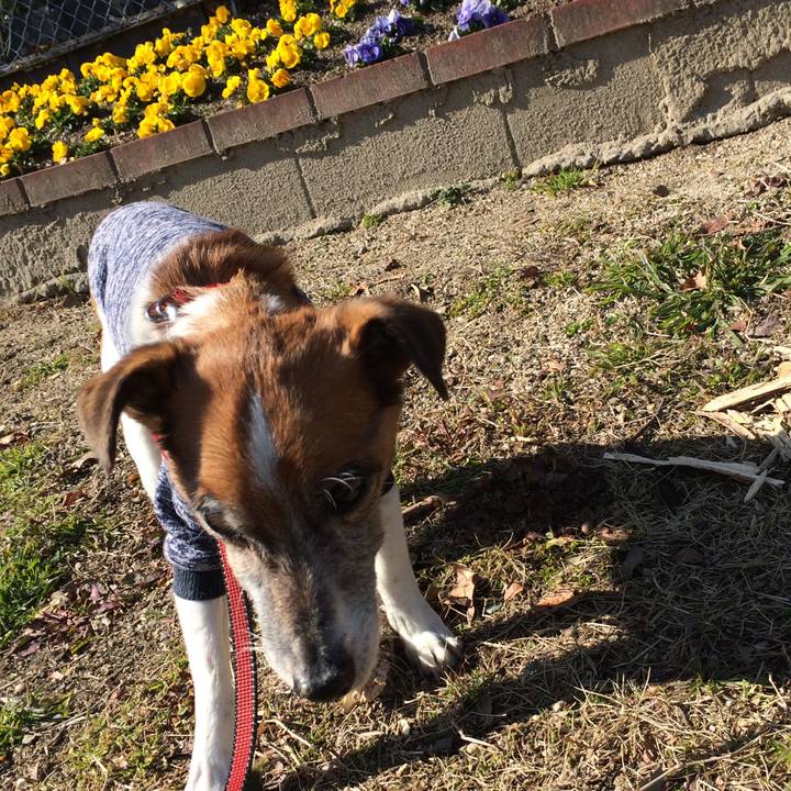 1c8b73f0 5241 4da2 9fb0 8888c553e496 1518587220278