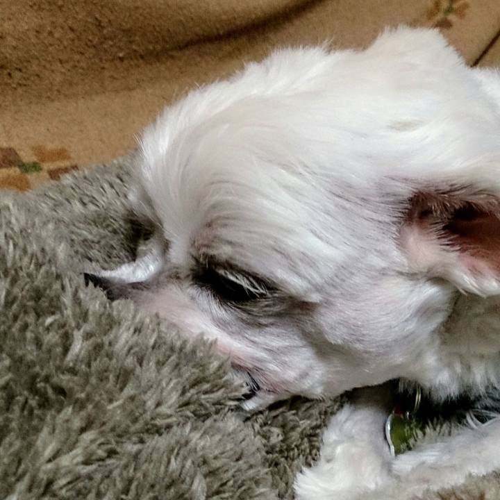 1c8b7a26 d528 4d76 96d6 8cb80bf33a6f 1513419178911