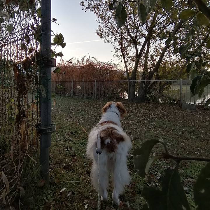 1c8ba5cf 2049 4bb9 ad2b 61d51b40f166 1576471831384