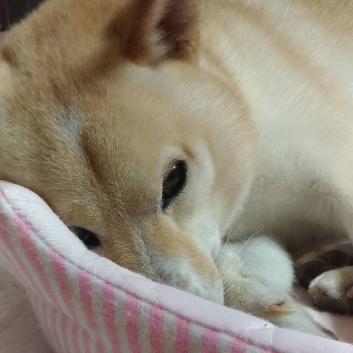 1c8bdfeb 19a9 4f8d bdc1 a2e7f3bfff5f 1597840157862