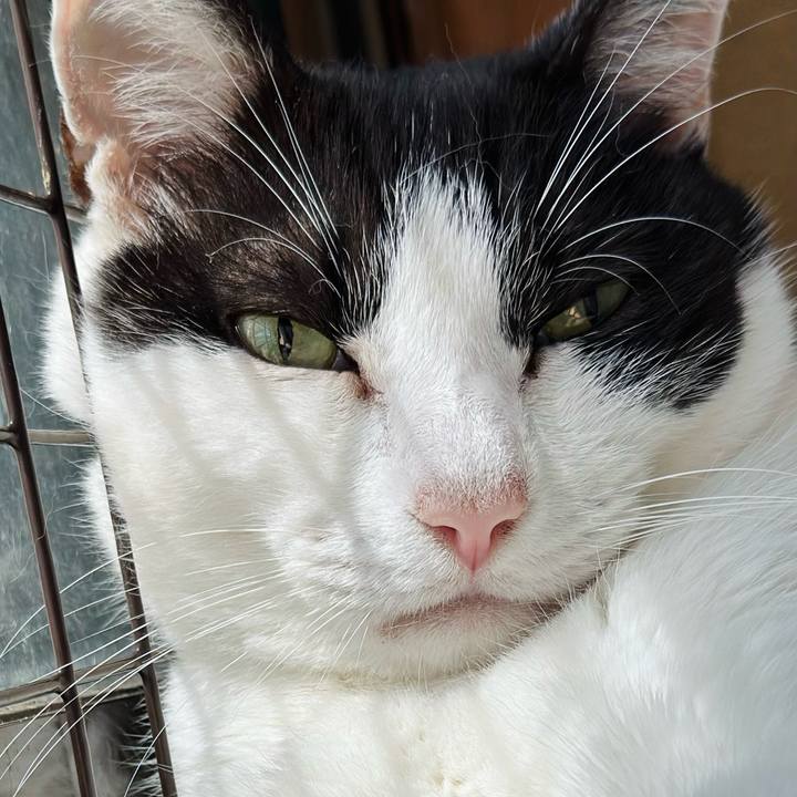 1c8be319 2b0e 47ff ab7d a1f0e953046e 1722903996471