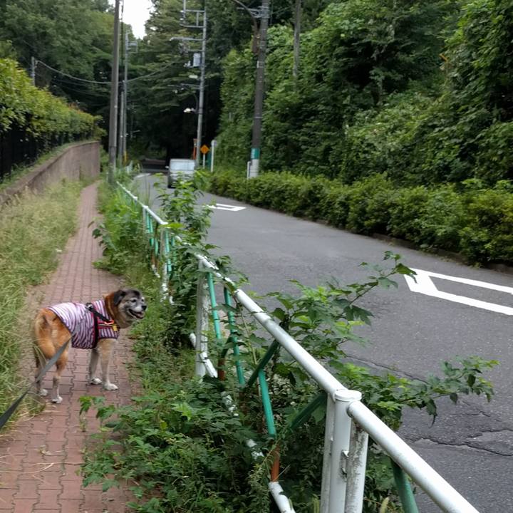 1c8c1022 9d75 469d 9c2c e27cbf97dfa1 1532474283344