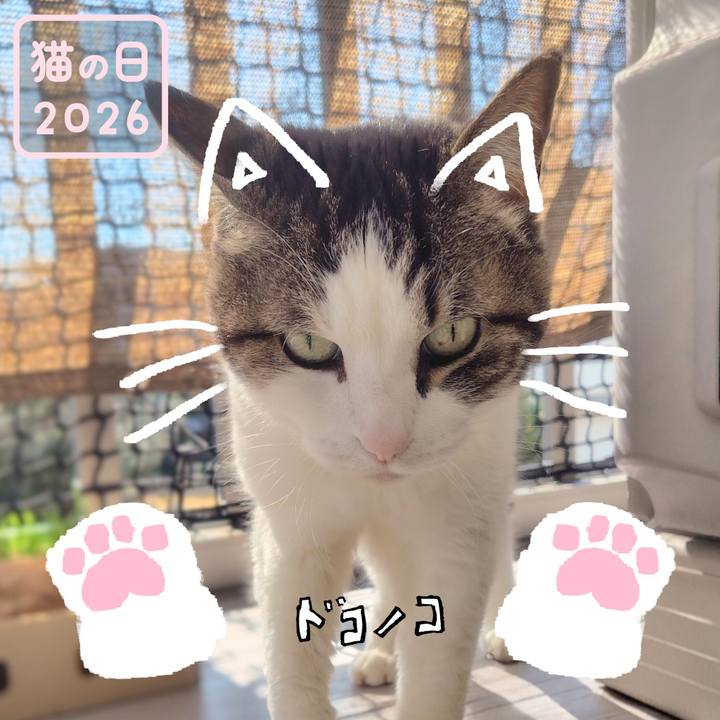 1c8c17df 77ab 4a2a bc40 a4e4d1543862 1771714122897