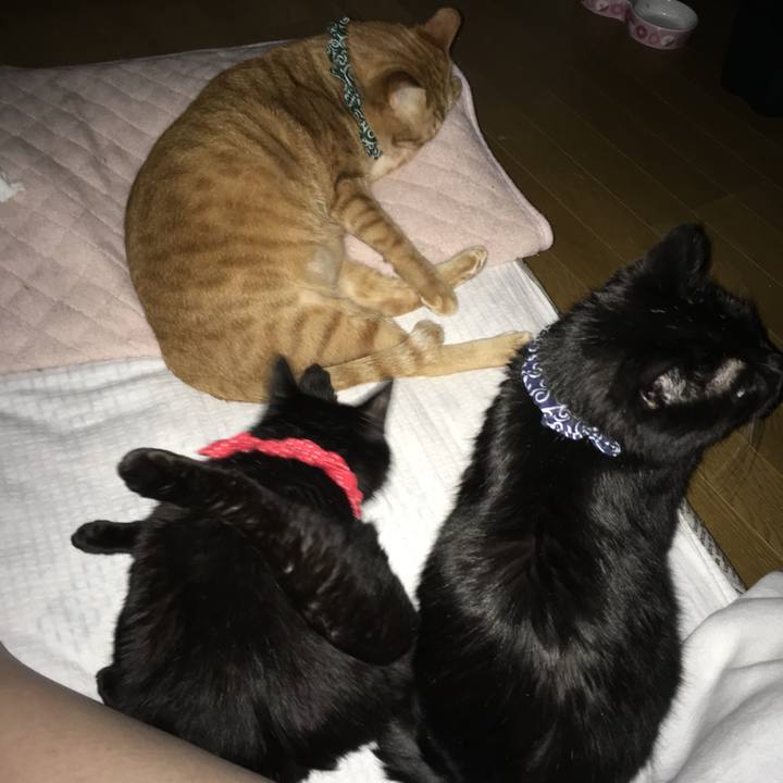 1c8c5819 3da8 4981 a3fe a16af7fdbd26 1550006264925