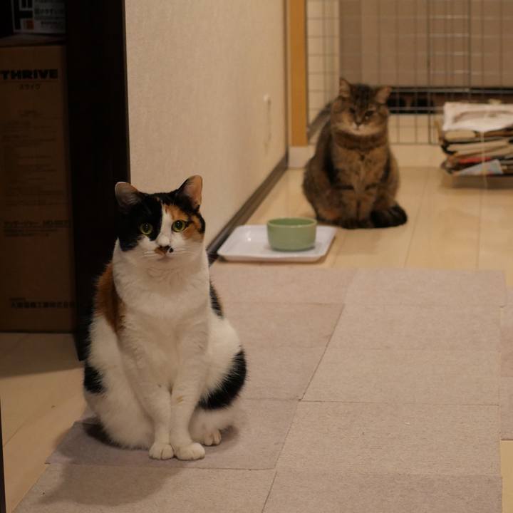 1c8c7631 d838 428e ae16 fcd6824ea337 1748994070438