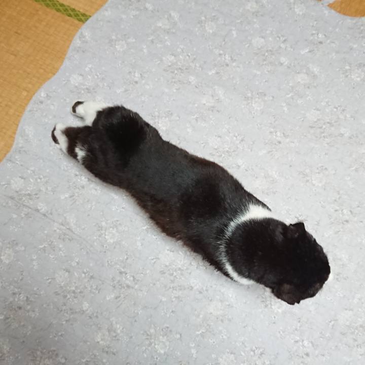 1c8cca82 c32d 4653 a577 67ec90c2ad2a 1652931735181