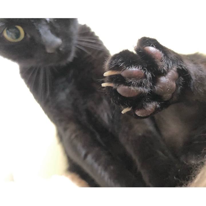 1c8ceb60 6d84 4f89 83f4 543cb794a7e9 1630215679852