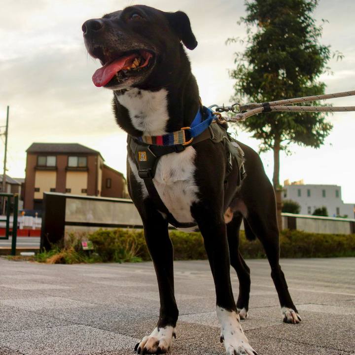 1c8d1684 df5f 4dce bcce 7b8bf7472a63 1656933234034