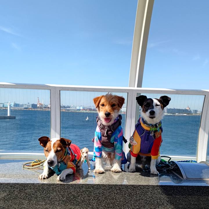 1c8d23b8 43d3 462c 89a0 ce991c6c2568 1715436779741