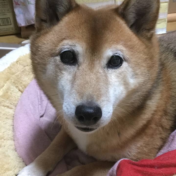 1c8d5337 06c6 4eff 9b42 186fdd12bd65 1578915539843