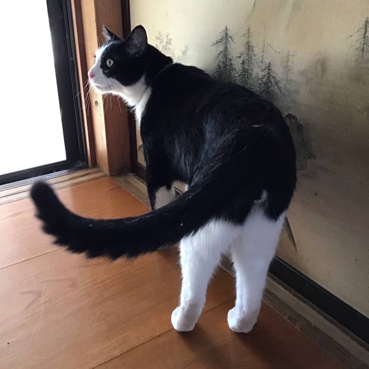 1c8d8806 d7ca 4ba8 bf49 80aa8a338246 1755949499505