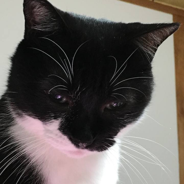 1c8dcc45 38e8 4fe9 b01c 7aa49eefa23c 1536755111655