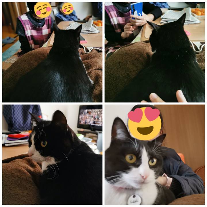 1c8dec06 efae 4479 8805 f13089601480 1639366556167