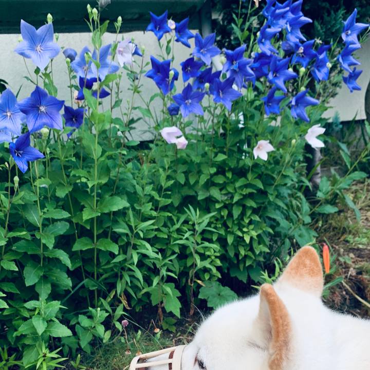 1c8def35 bd6b 4154 b1df 60edafe5e6e2 1596141849987