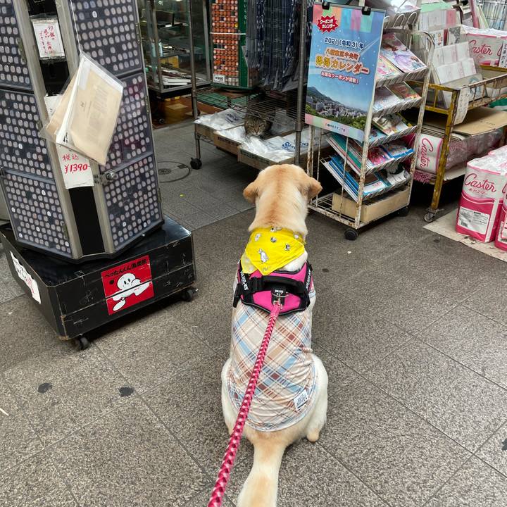 1c8df7c6 c92e 42be 8fd8 3b7553fdf547 1625747116065