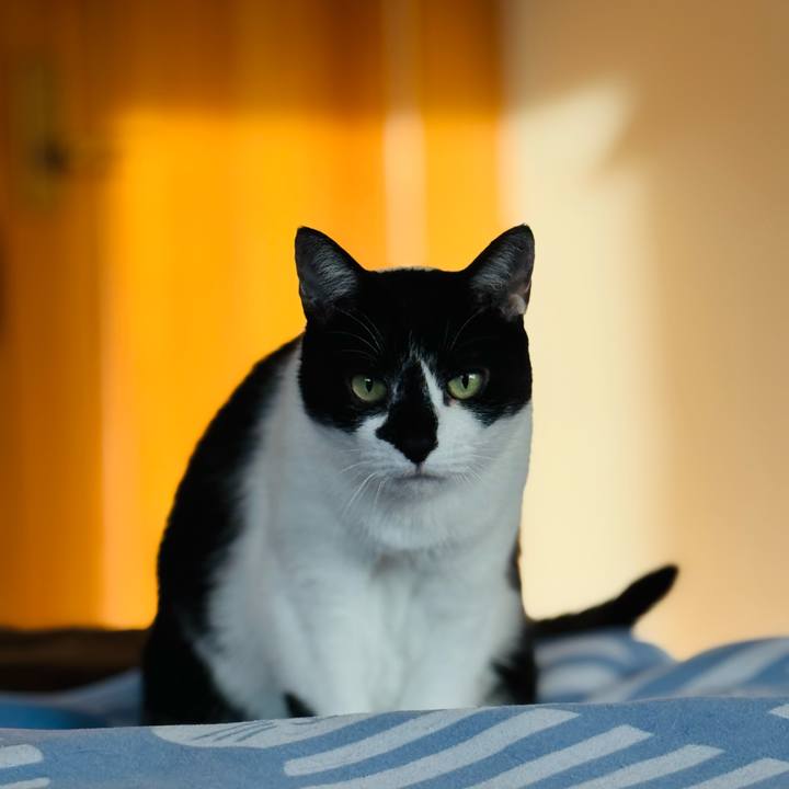 1c8e250e 09db 4a23 9389 814e0fdd26ce 1769480499383