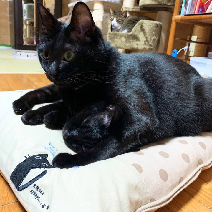 1c8e5aee 4226 45d5 9d1f c727508471e6 1570801968945