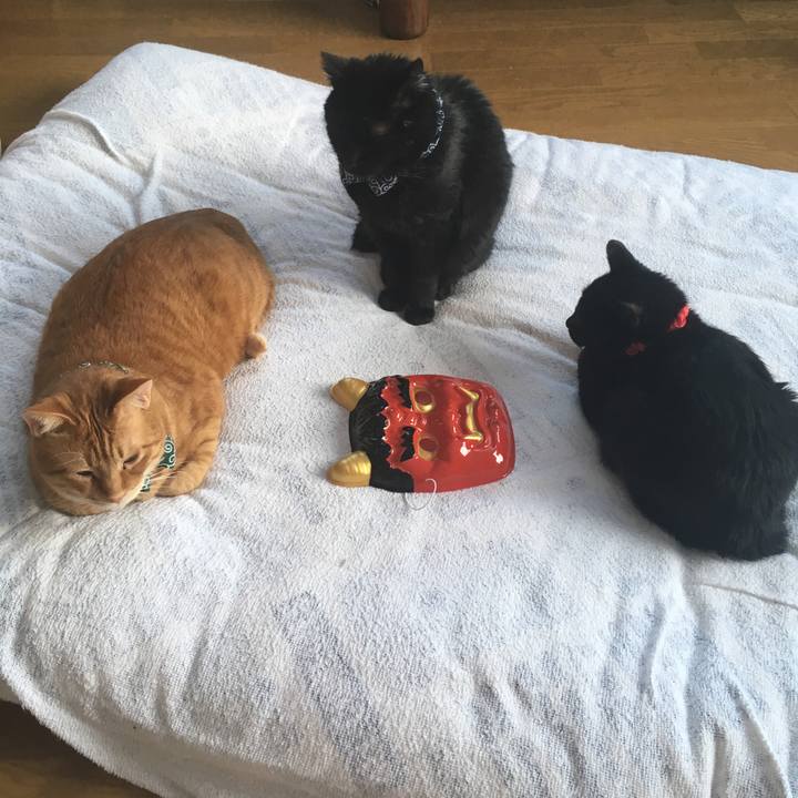 1c8e5ba5 a49d 4318 89d9 b6b86756cbd8 1549147909107